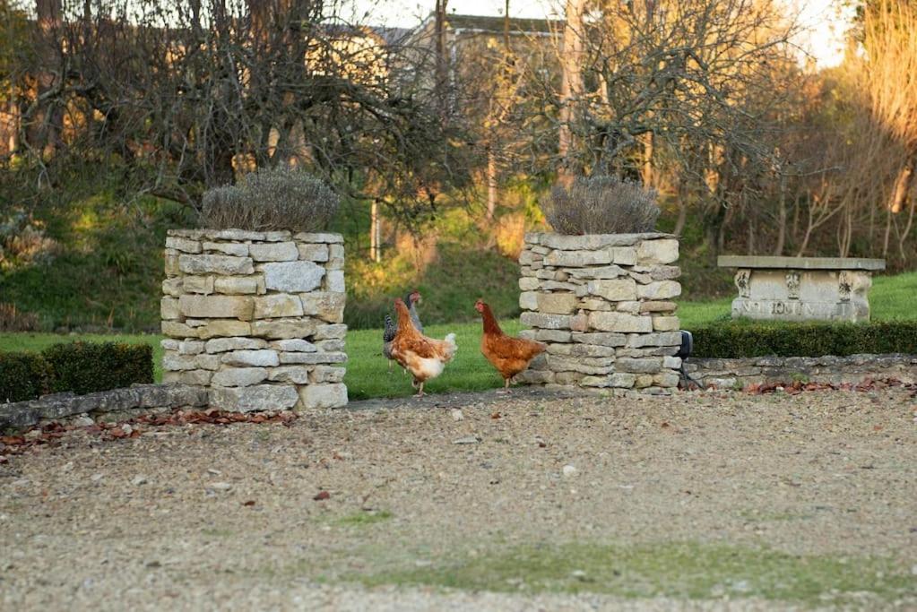 Dove House - No 1 Casa vacanze